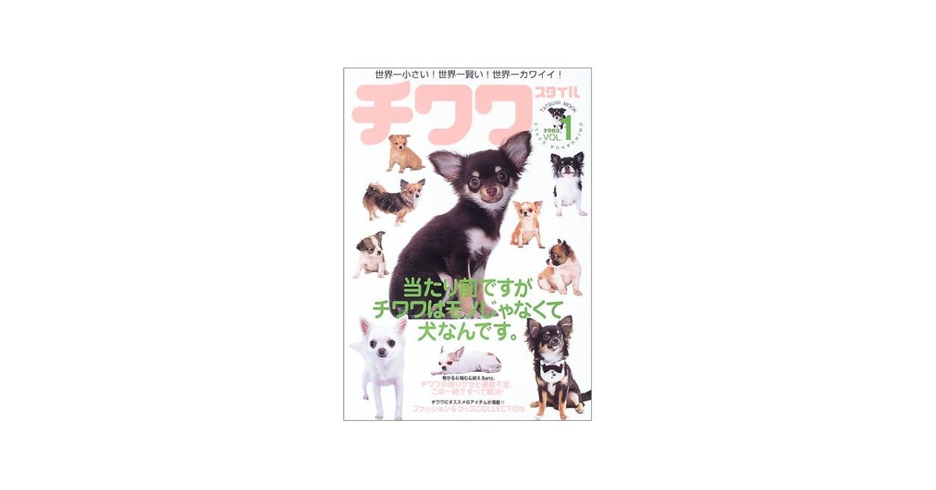 Amazon.co.jp: チワワスタイル VOL.1 (2003): 世界一小さい!世界